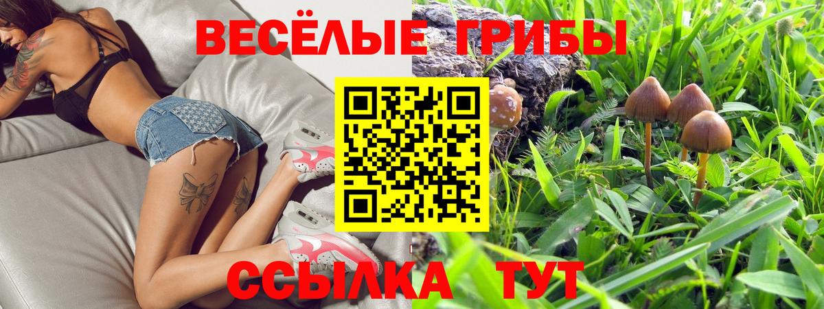 Киров  Псилоцибиновые грибы мицелий  где купить   Галлюциногенные грибы Cubensis  Вход с VPN 