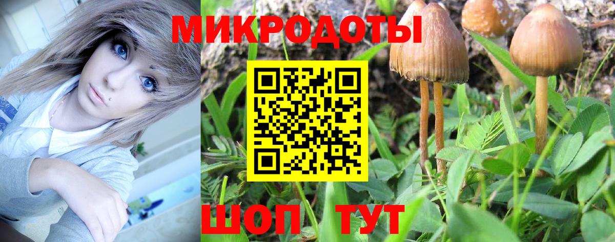 Псилоцибиновые грибы Cubensis Киров