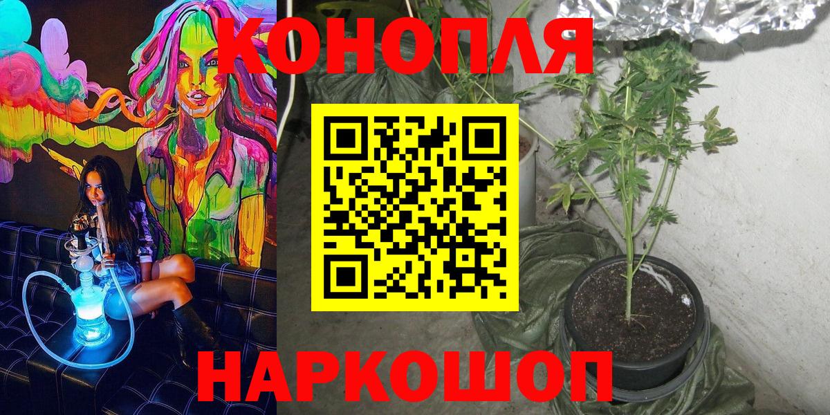 Каннабис планчик  Вход с VPN  Киров  МАРИХУАНА планчик  Шишки марихуана тримм 